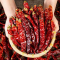 Wholesale High Quality Chinese Spice Cooking hot redChili